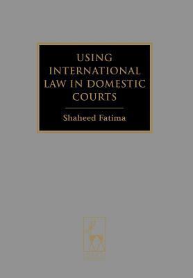 Using international law in domestic courts