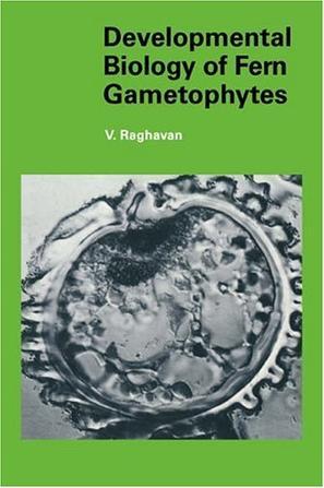 Developmental biology of fern gametophytes