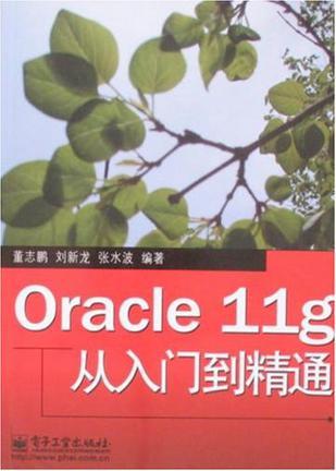 Oracle 11g从入门到精通