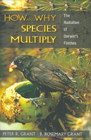 How and why species multiply the radiation of Darwin's finches