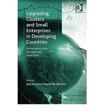 Upgrading clusters and small enterprises in developing countries environmental, labor, innovation and social issues