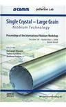 Single crystal-large grain niobium technology International Niobium Workshop, Araxá, Brazil, 30 October-1 November 2006