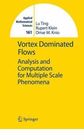 Vortex dominated flows analysis and computation for multiple scale phenomena.
