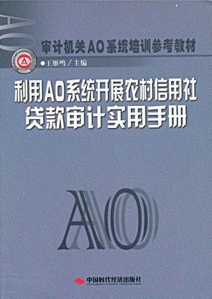 利用AO系统开展农村信用社贷款审计实用手册