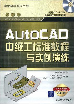 AutoCAD 中级工标准教程与实例演练