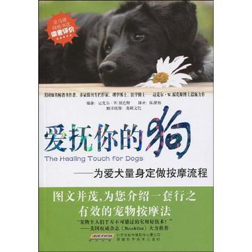 爱抚你的狗 为爱犬量身定做按摩流程