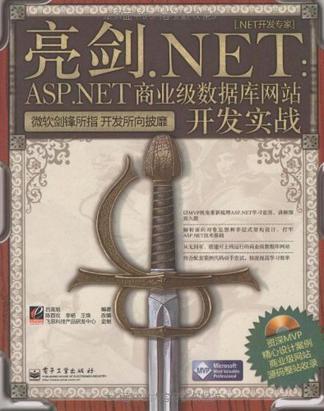 亮剑.NET：ASP.NET商业级数据库网站开发实战