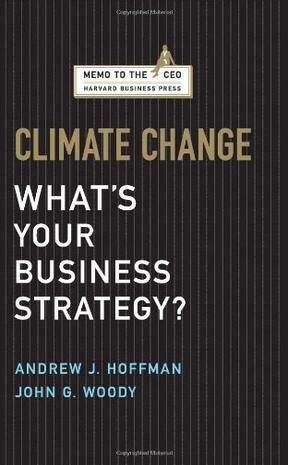 Climate change what's your business strategy?