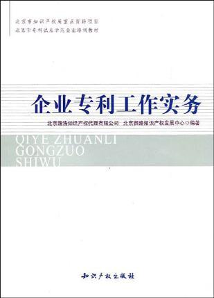 企业专利工作实务