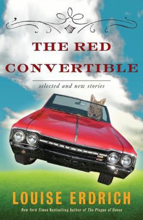 The red convertible selected and new stories, 1978-2008