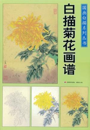 白描菊花画谱