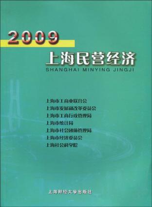 2009上海民营经济