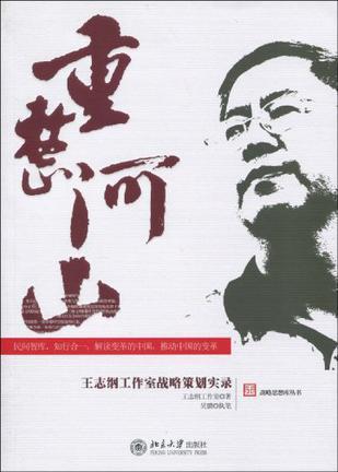 重整河山 王志纲工作室战略策划实录