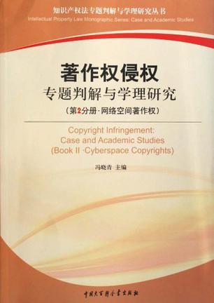 著作权侵权专题判解与学理研究 第2分册 网络空间著作权