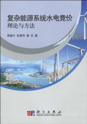 复杂能源系统水电竞价理论与方法