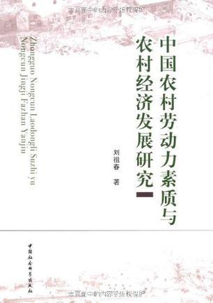 中国农村劳动力素质与农村经济发展研究