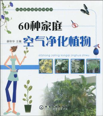 60种家庭空气净化植物