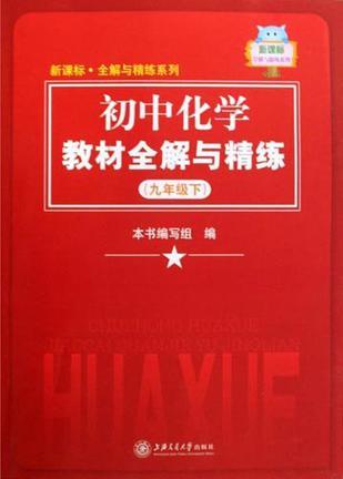 初中化学教材全解与精练 九年级 下