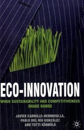 Eco-innovation when sustainability and competitiveness shake hands