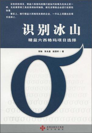 识别冰山 精益六西格玛项目选择