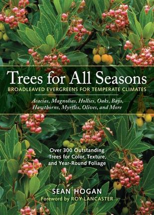 Trees for all seasons broadleaved evergreens for temperate climates