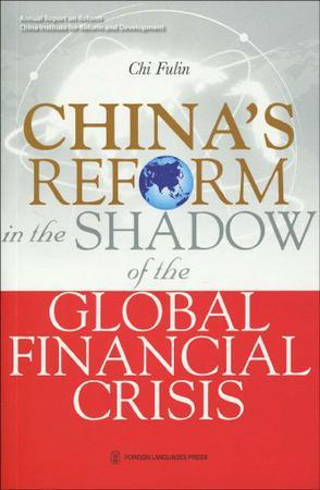 China's reform in the shadow of the global financial crisis