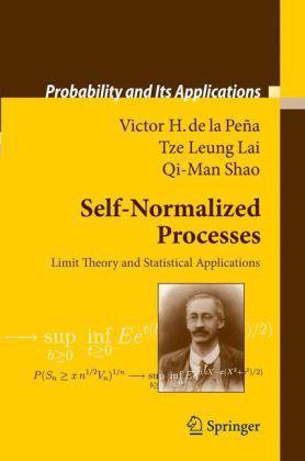 Self-normalized processes limit theory and applications