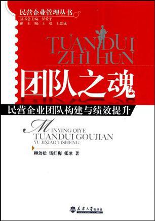 团队之魂 民营企业团队构建与绩效提升