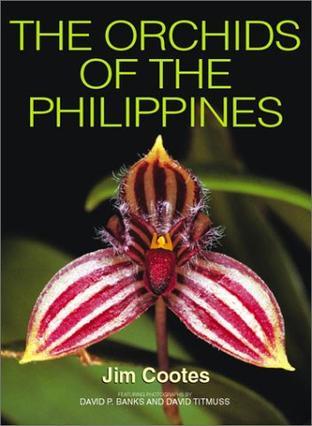 The orchids of the Philippines