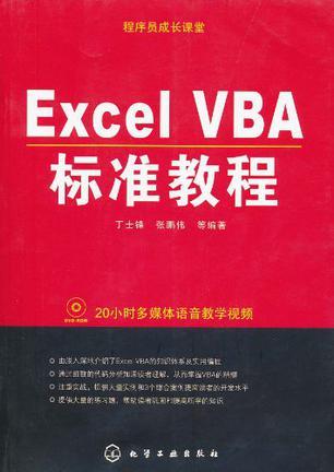 Excel VBA标准教程