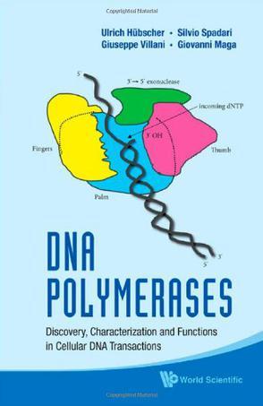 DNA polymerases discovery, characterization, and functions in cellular DNA transactions