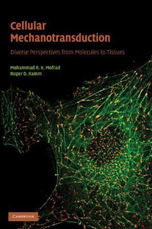 Cellular mechanotransduction diverse perspectives from molecules to tissues