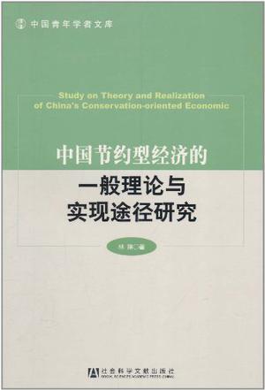 中国节约型经济的一般理论与实现途径研究