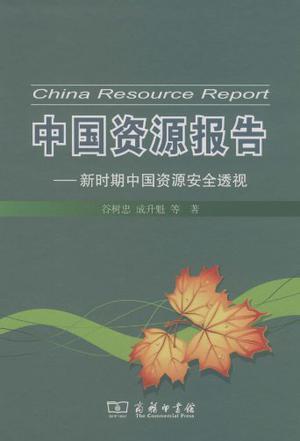 中国资源报告 新时期中国资源安全透视