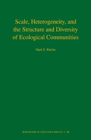 Scale, heterogeneity, and the structure and diversity of ecological communities