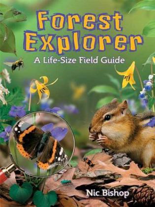 Forest explorer a life-size field guide