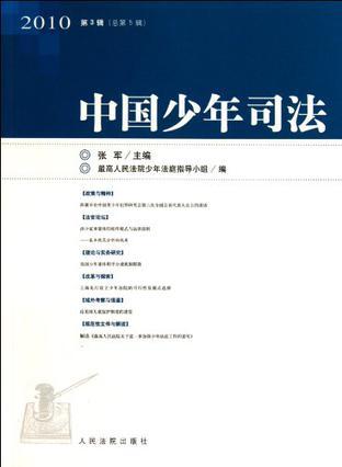 中国少年司法 2010第4辑（总第6辑）