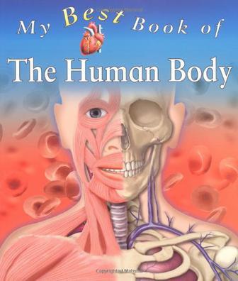 My best book of the human body