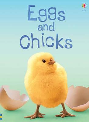 Eggs and chicks