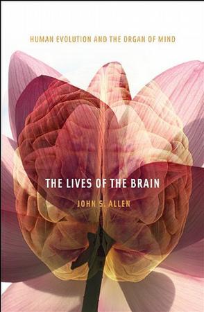 The lives of the brain human evolution and the organ of mind