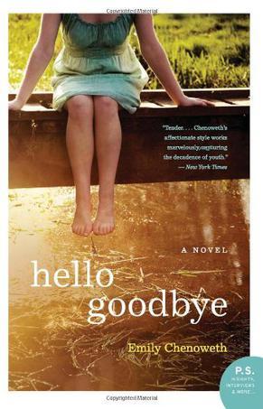 Hello goodbye a novel