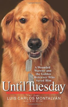Until Tuesday a wounded warrior and the golden retriever who saved him