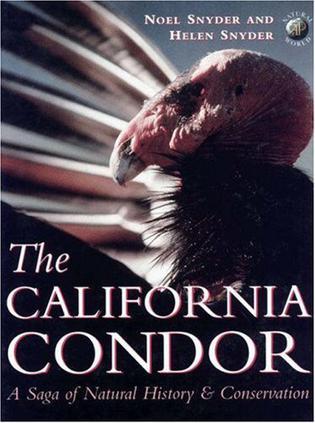 The California condor a saga of natural history and conservation