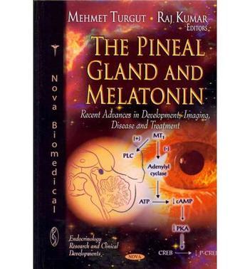 The pineal gland and melatonin recent advances in development, imaging, disease, and treatment