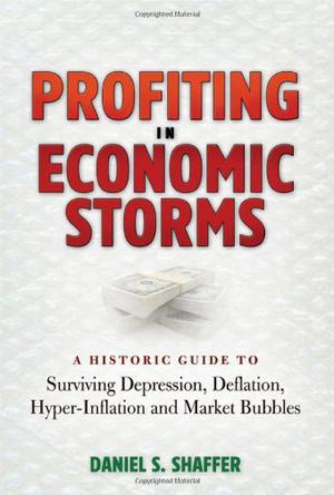 Profiting in economic storms a historic guide to surviving depression, deflation, hyperinflation, and market bubbles