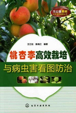 桃 杏 李高效栽培与病虫害看图防治