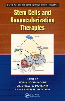 Stem cells and revascularization therapies