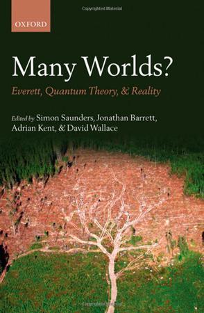 Many worlds? everett, quantum theory, and reality