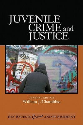 Juvenile crime and justice