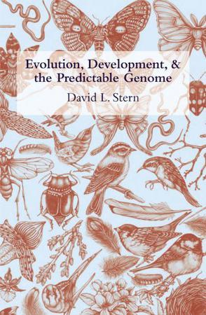 Evolution, development, & the predictable genome